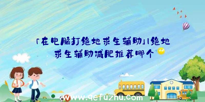 「在电脑打绝地求生辅助」|绝地求生辅助减肥推荐哪个